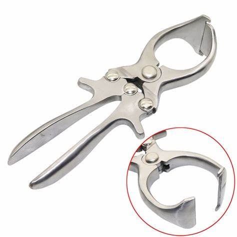 CASTRATION FORCEP 9"