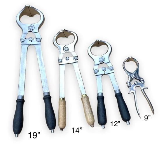 castration forceps